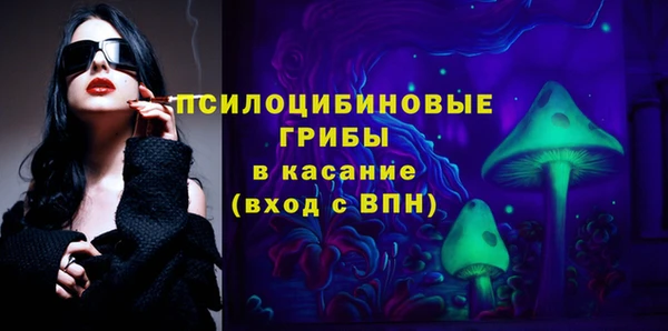 индика Каменск-Шахтинский