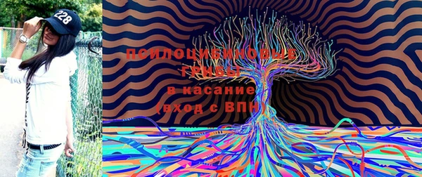 индика Каменск-Шахтинский