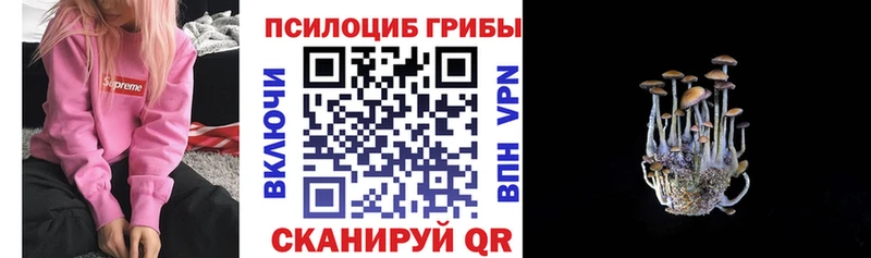 Псилоцибиновые грибы мухоморы  Кольчугино 